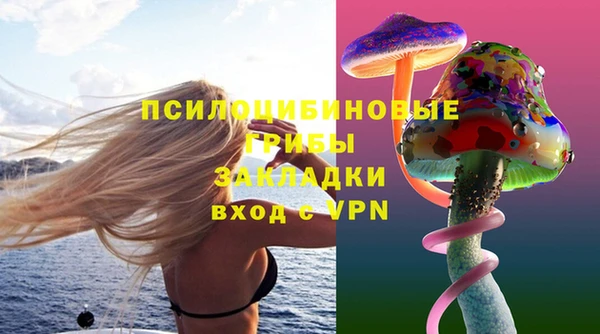 ПСИЛОЦИБИНОВЫЕ ГРИБЫ Алексеевка