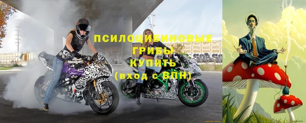 ПСИЛОЦИБИНОВЫЕ ГРИБЫ Алексеевка